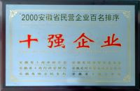 2000安徽省民营企业百名排序十强企业