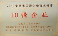 2011年度安徽省民营企业百名排序10强企业